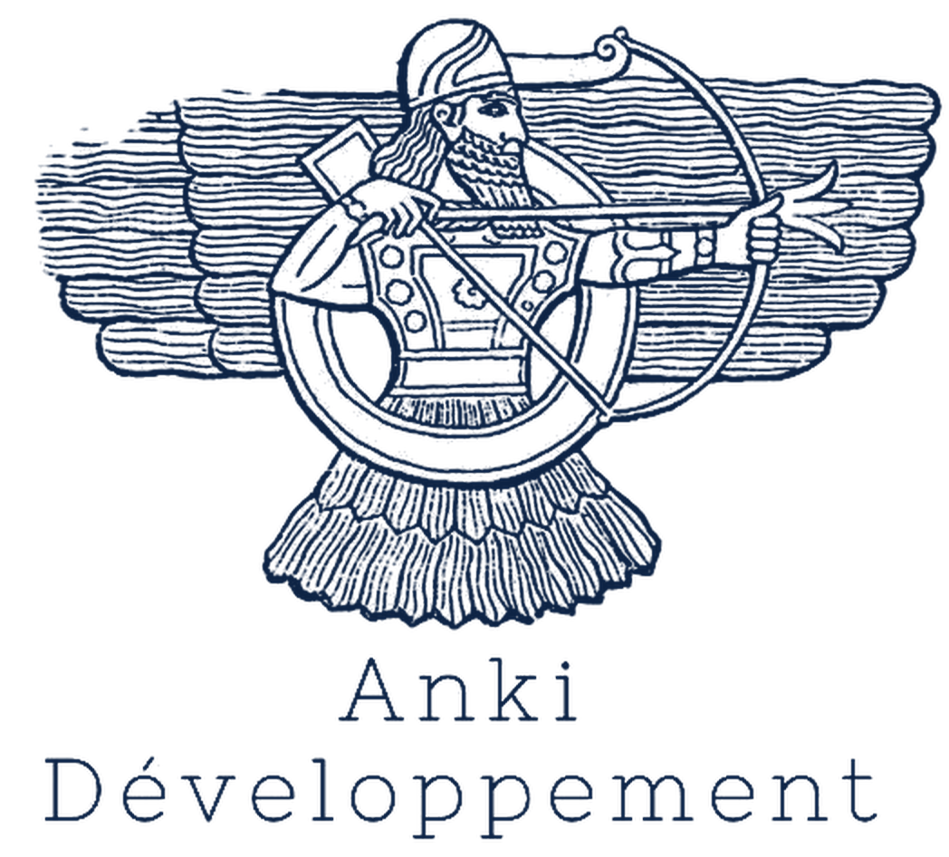 Anki Développement